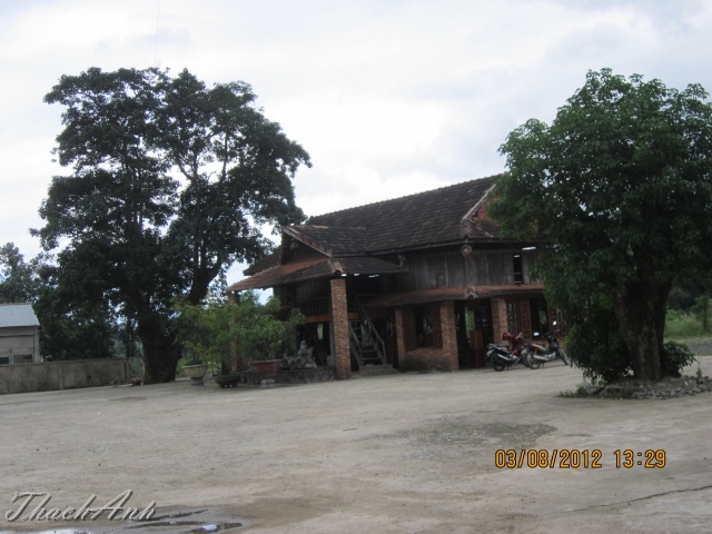 IMG_7980-Copy.jpg