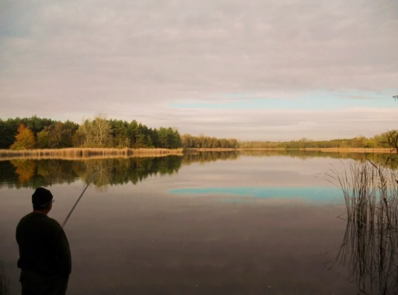 DSCN1195.jpg