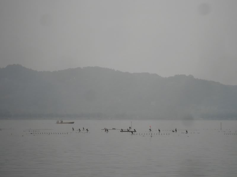 PA310839.jpg