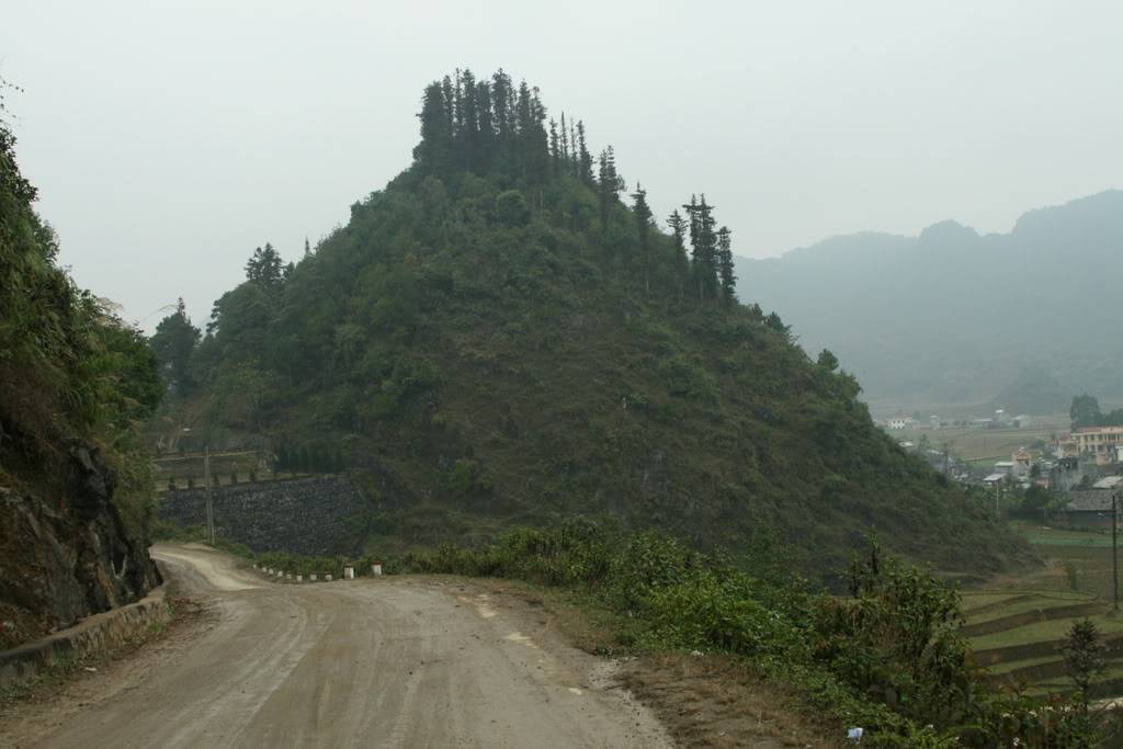 IMG_5452.jpg