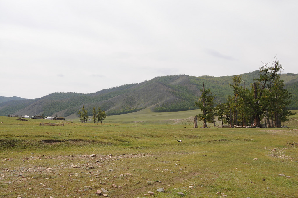 22744198501_ab291a6219_b.jpg