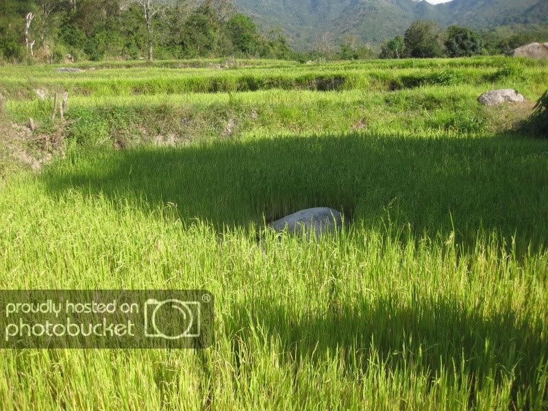 NuiChua27_2_2011050.jpg