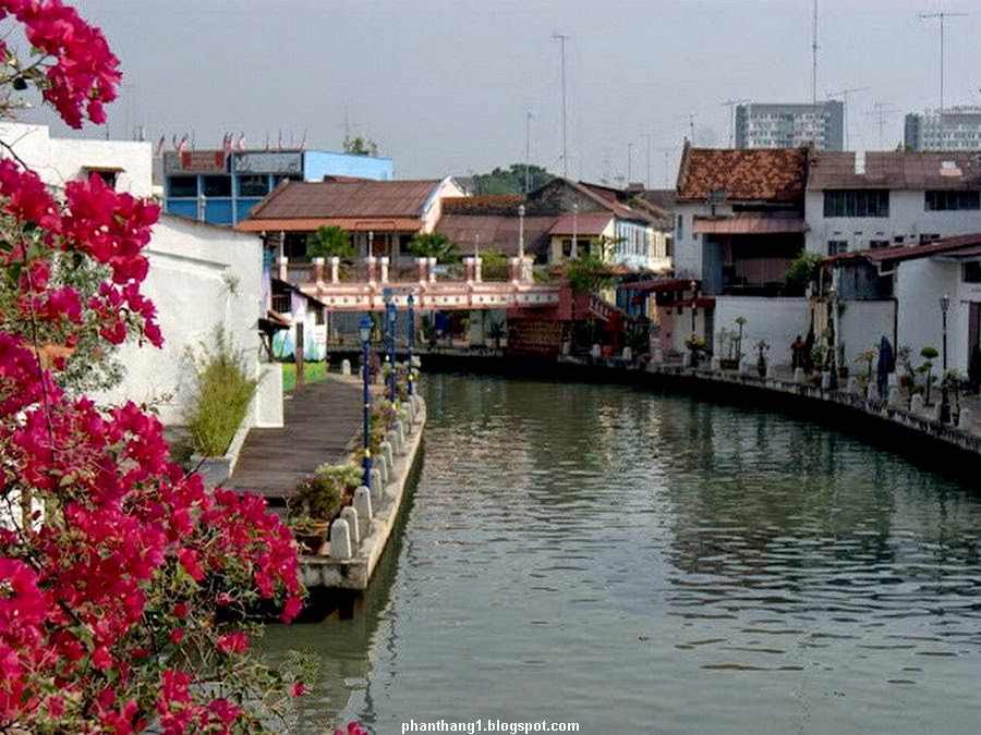 c009.jpg