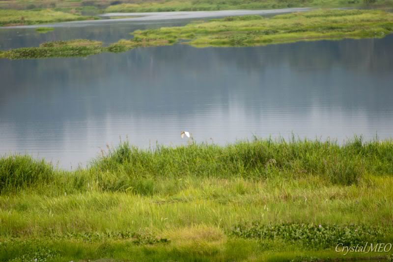 DSC_0366.jpg