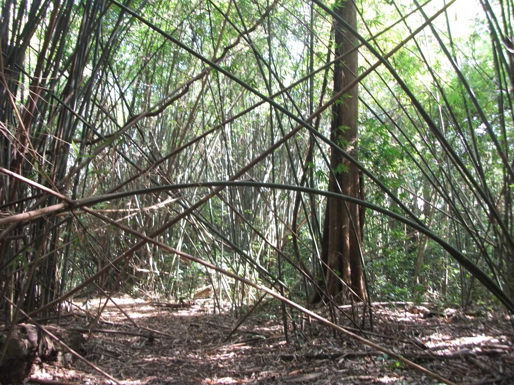 DSCF5844.jpg