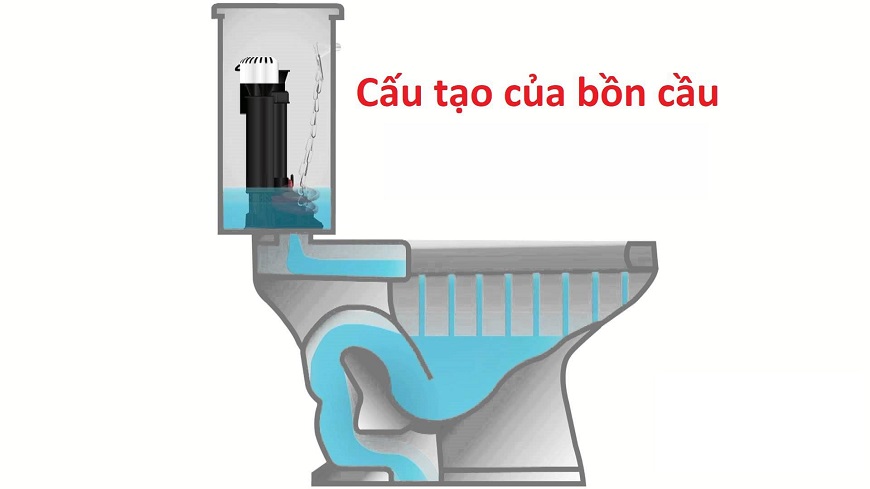 cau-tao-bon-cau.jpg