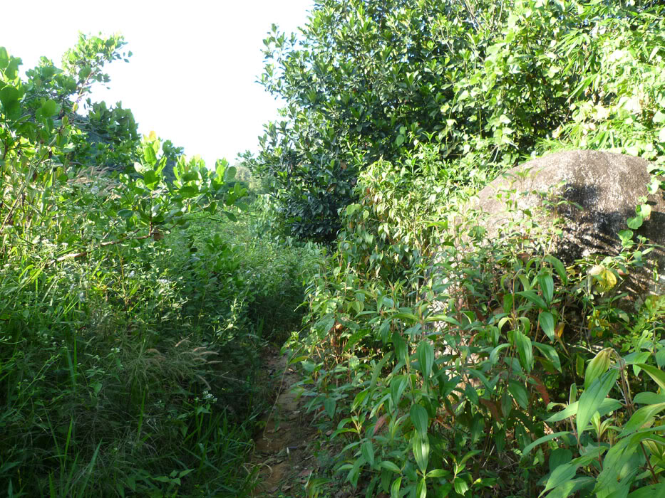 P1050829.jpg