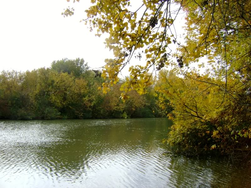 DSC06569.jpg