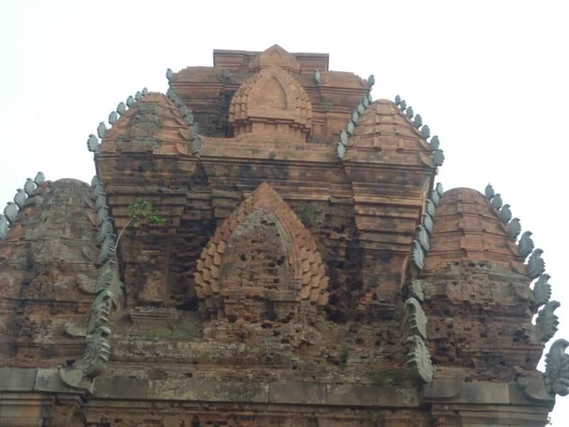 P1000312800x600.jpg