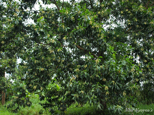 P9222658%20copy.jpg