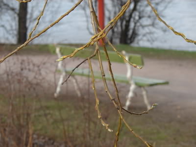 DSC09023.jpg