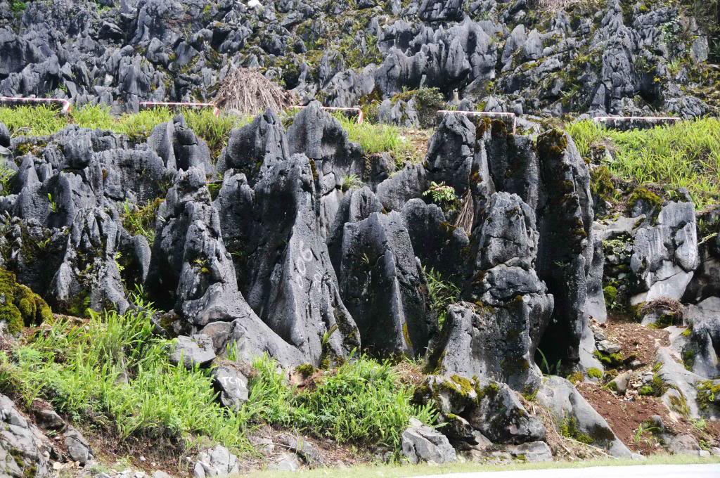 DSC_0124_zps05990bc1.jpg