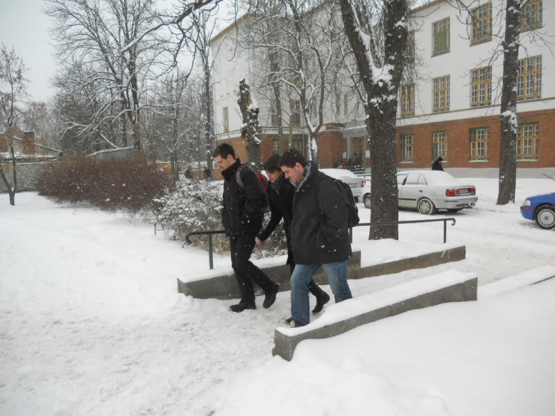 DSCN2446.jpg