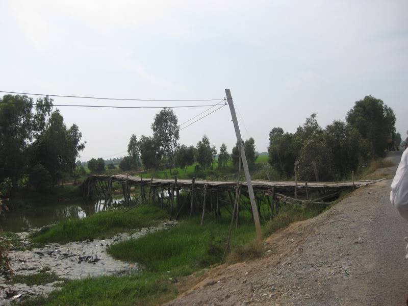DongThapTET2011456.jpg