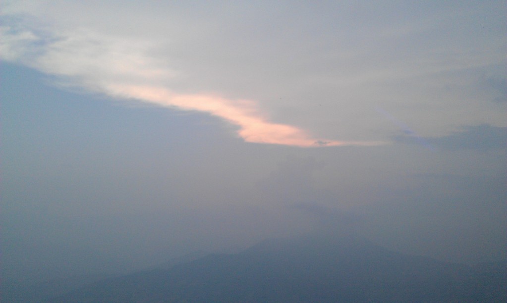 IMAG0220.jpg