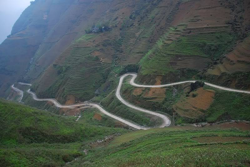 DSC_2007.jpg