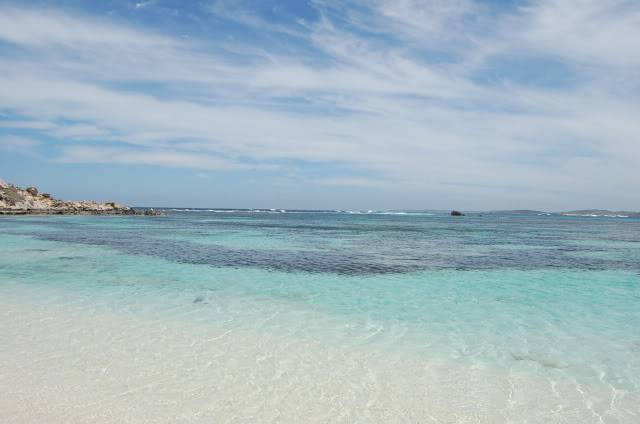 DSC_0788.jpg
