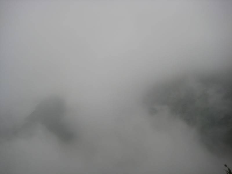 IMG_3338.jpg
