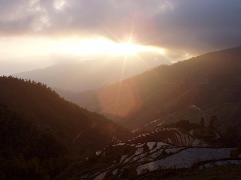 P1010056.jpg