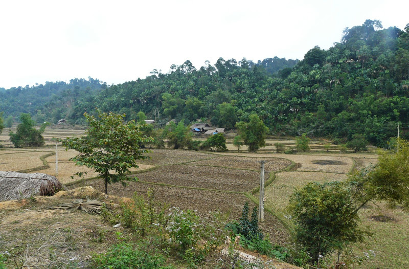 P1050657.JPG