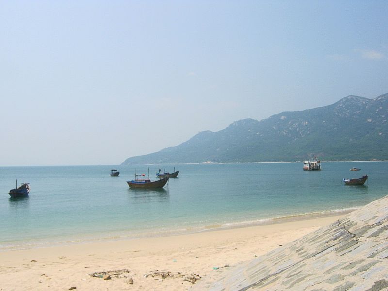 IMG_7972.jpg