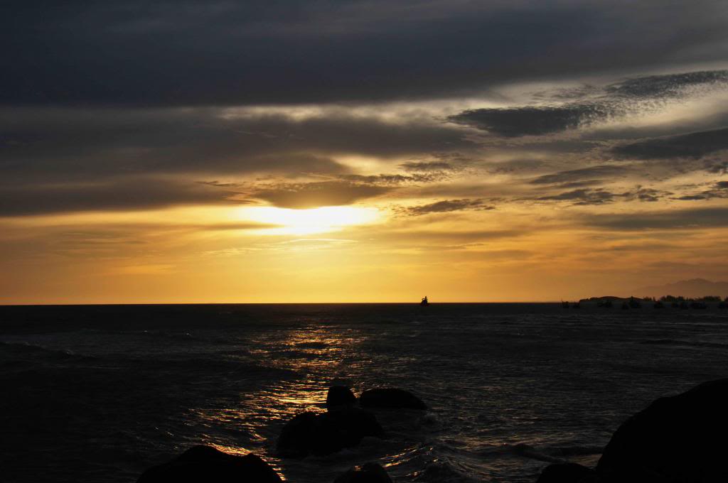 DSC_1572_zps10b56ef9.jpg