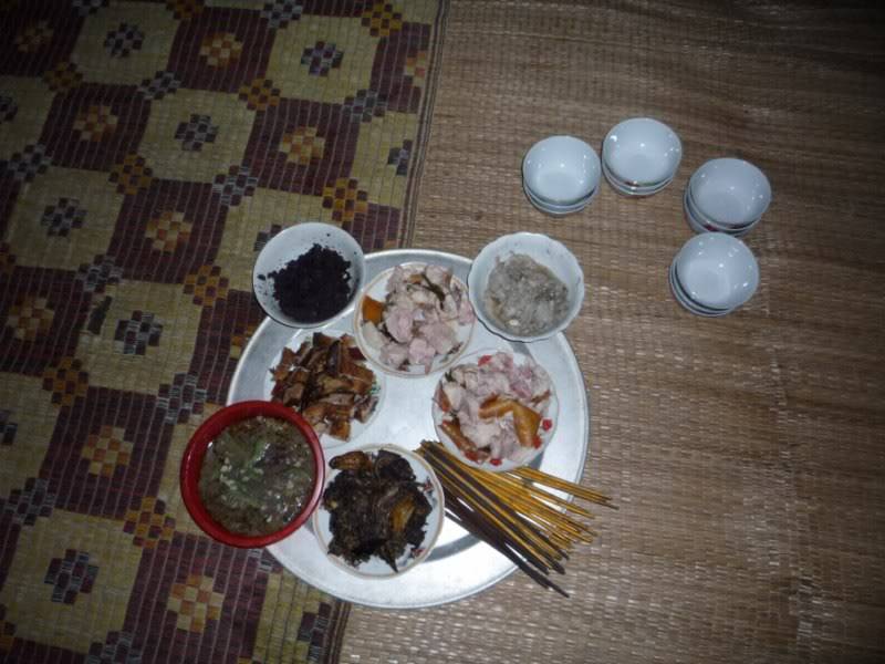 P1020011800x600.jpg