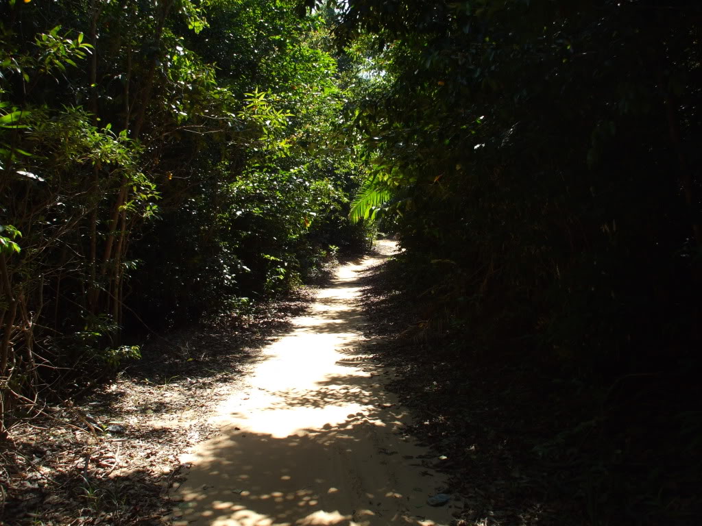 DSCF4916.jpg