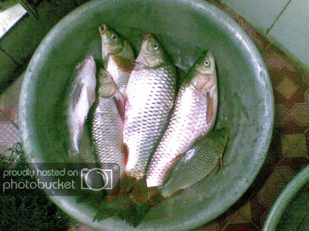 09092009015.jpg