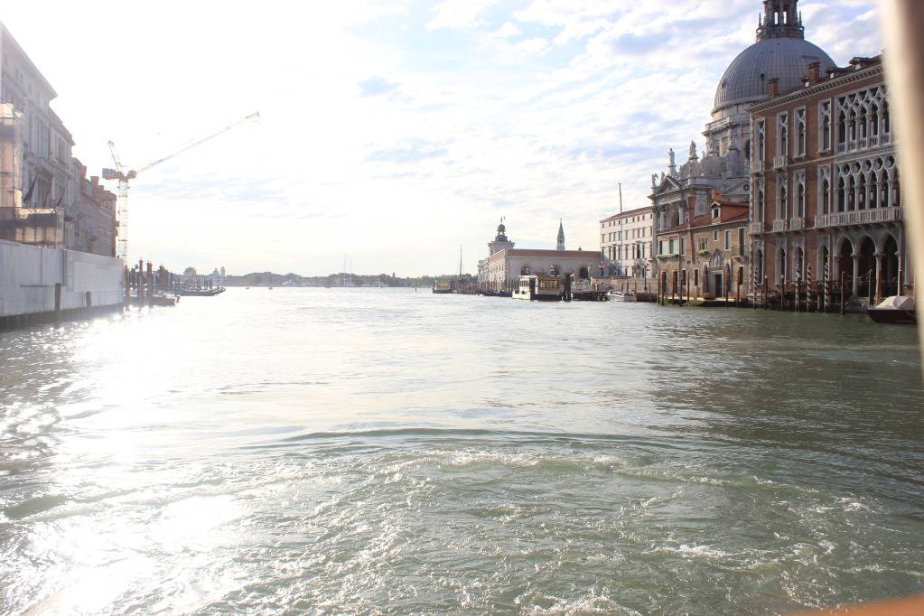 IMG_1368_zps4a3d7232.jpg