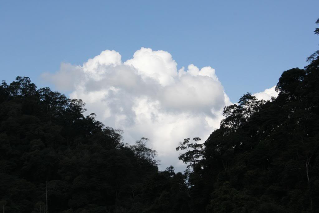 IMG_7604.jpg