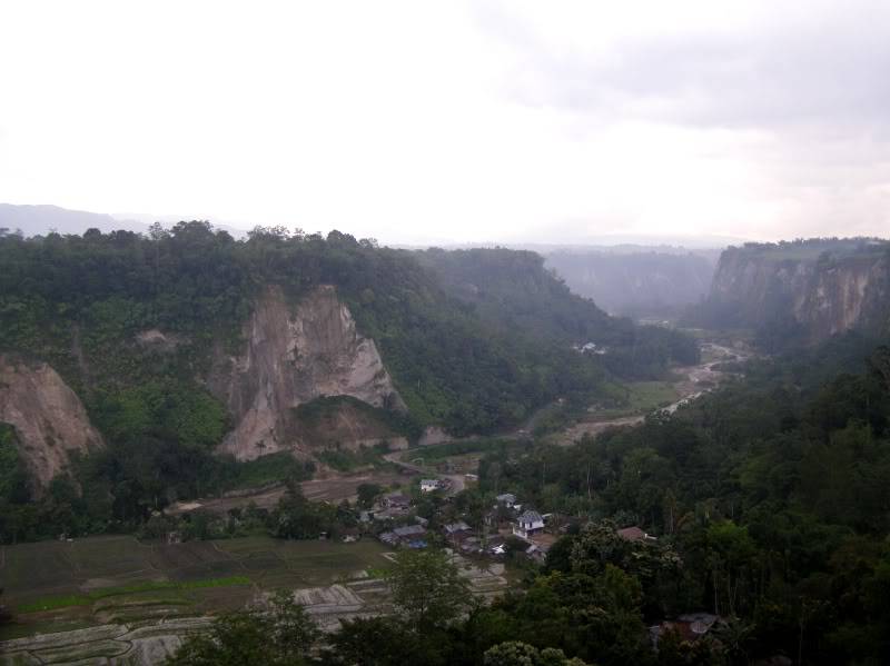 P7240654.jpg