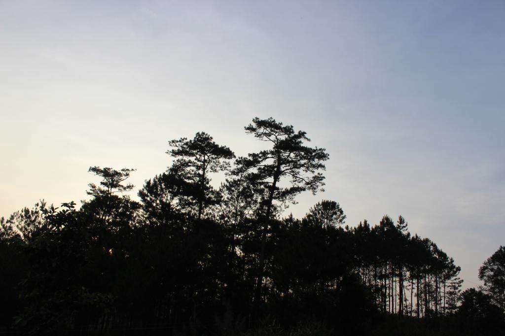 IMG_0462_zps0952f788.jpg