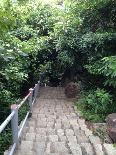 image-jpg.171189
