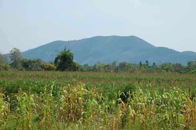 DSC_3736.jpg
