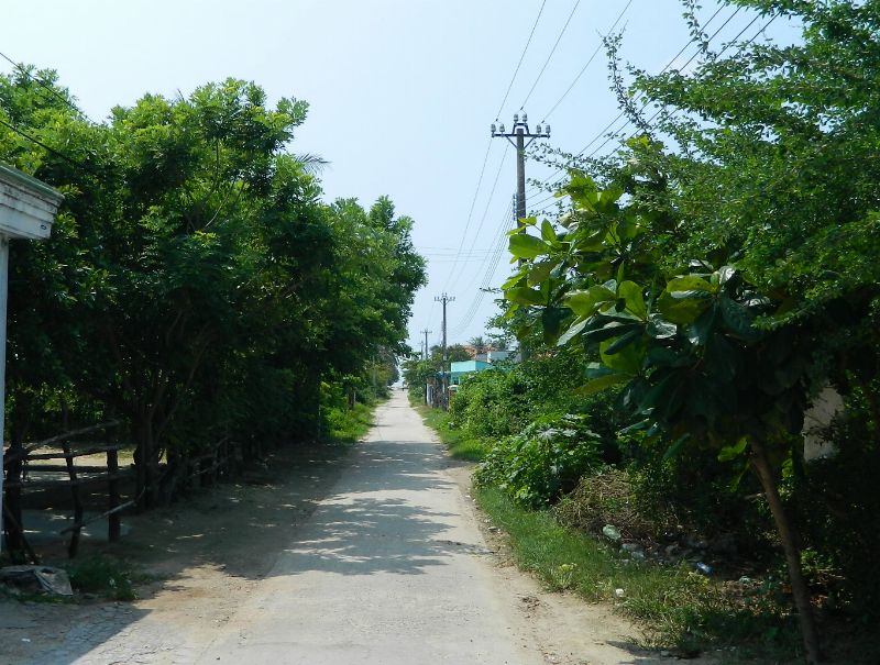 DSCN2498.jpg