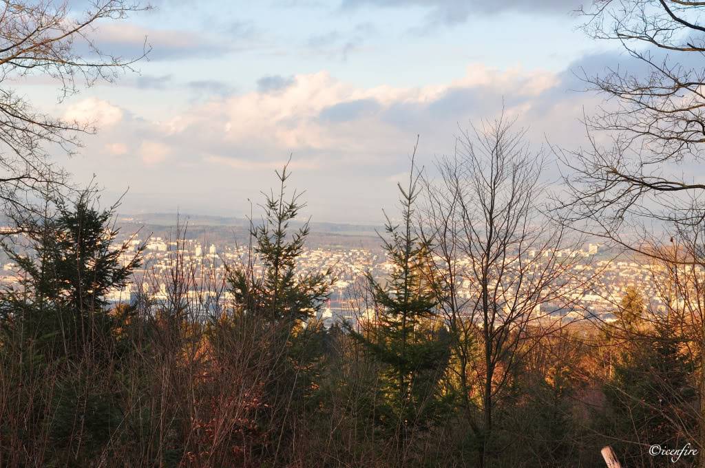 DSC_0162_new.jpg