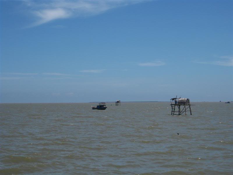 IMG_5929Medium.jpg