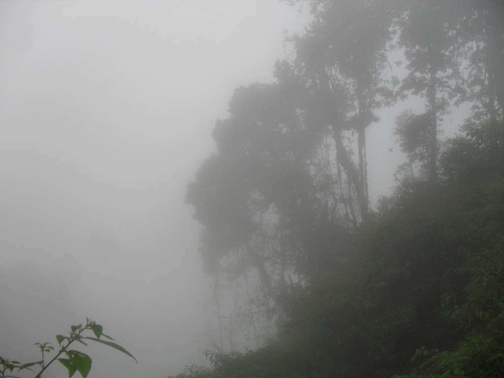 SDC10580_zpsf8c156db.jpg