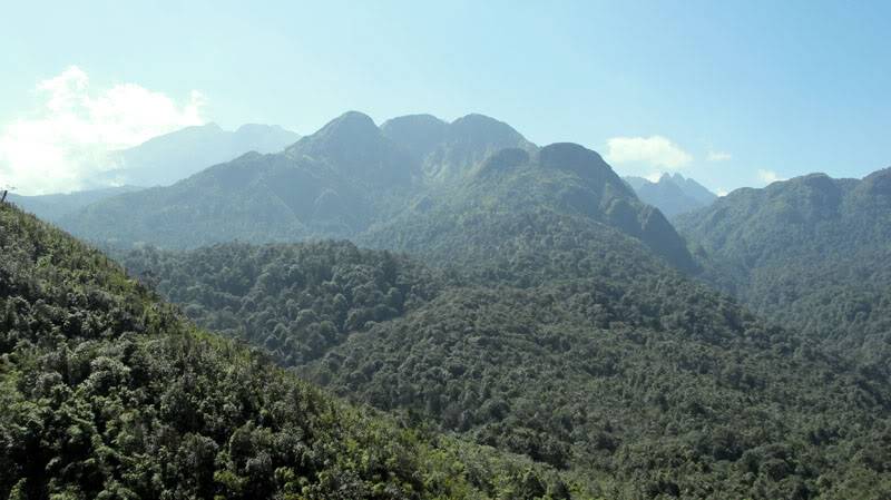 HongNgai2011161.jpg