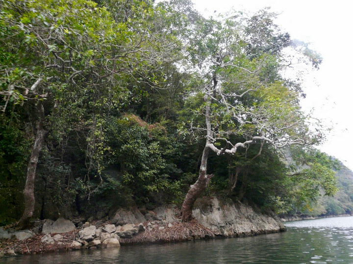 P1050538.JPG