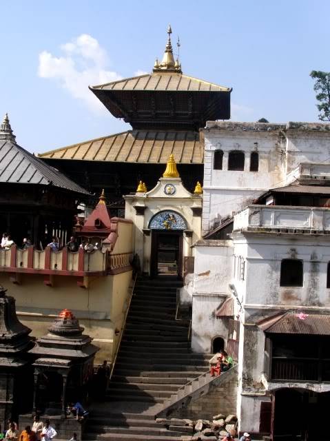PB050078.jpg