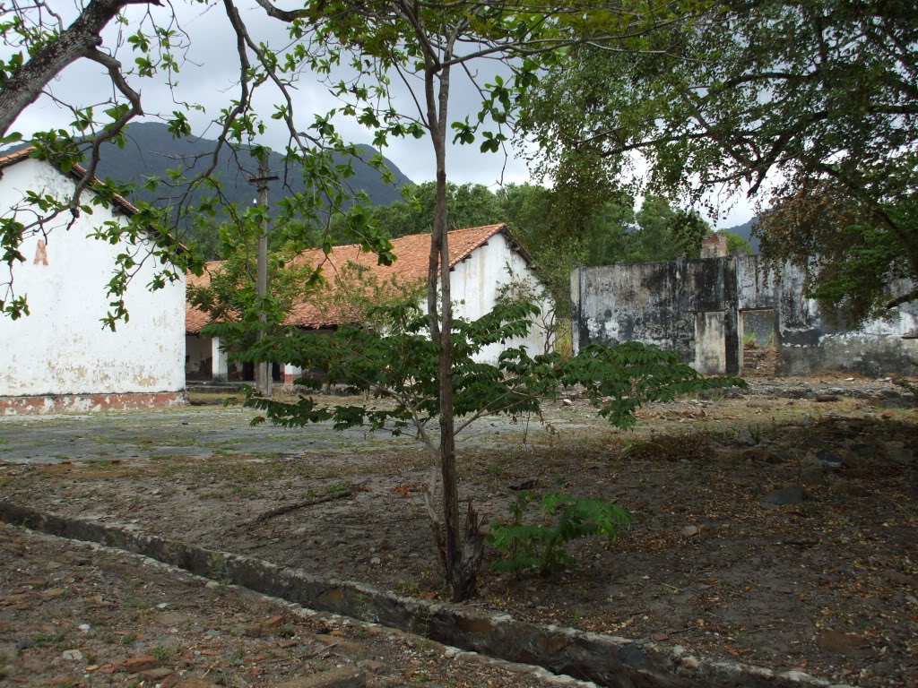DSCF6587.jpg