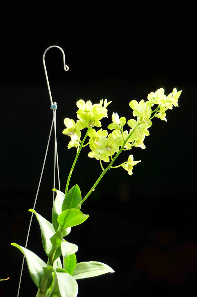 DSC_0855_zps817bfda4.jpg