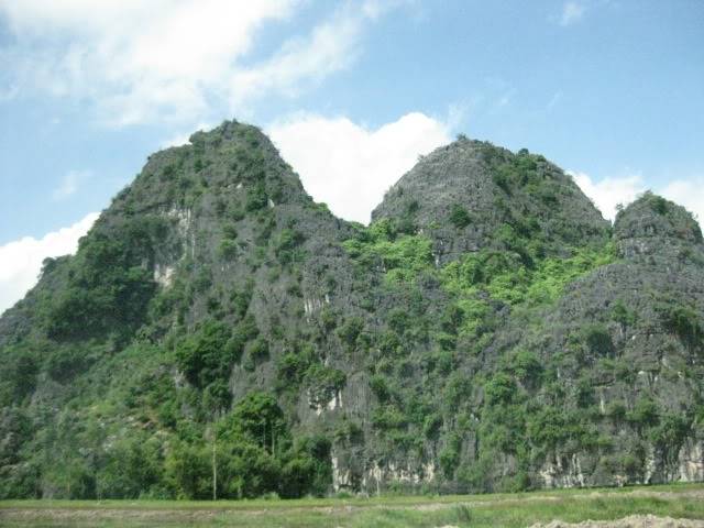 IMG_1877.jpg
