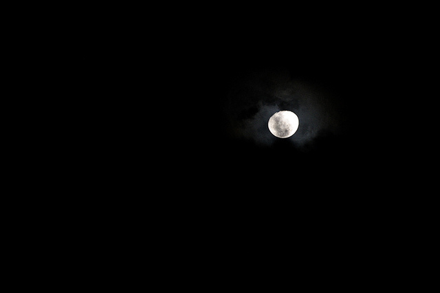 5387280781_13ae2e3618_z.jpg