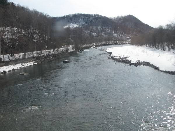 IMG_2945_resize.jpg