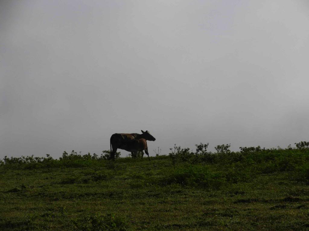 _MG_3251.jpg