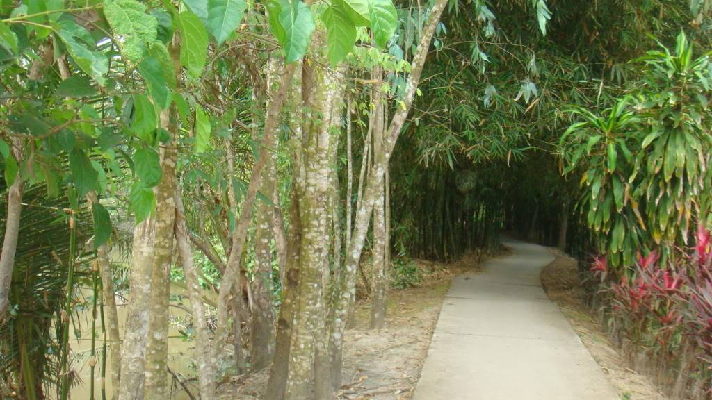 DSC02272.jpg