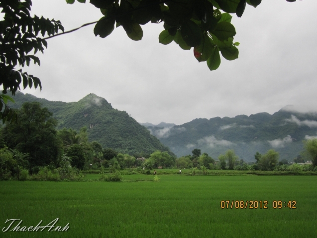 IMG_8571.jpg